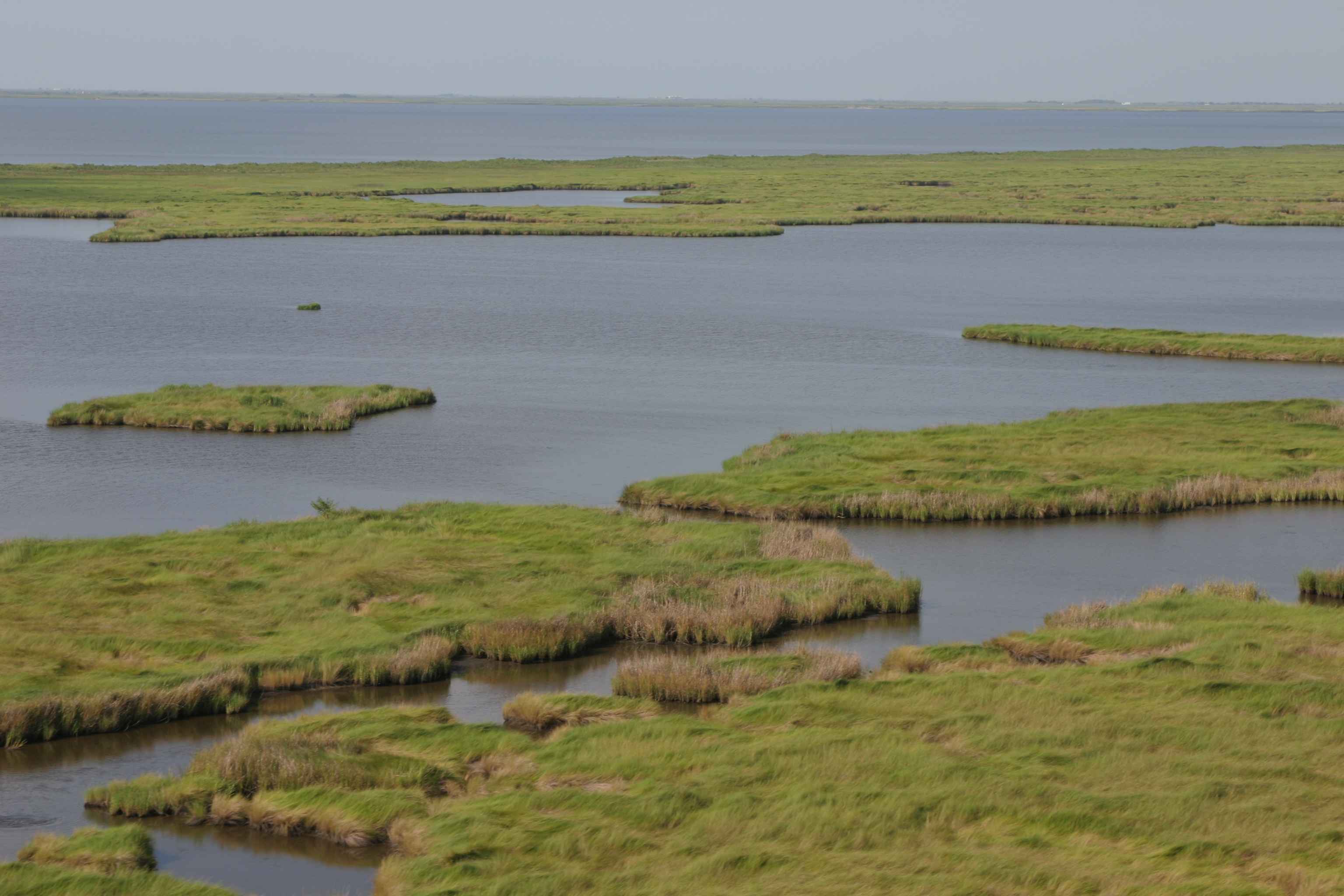 Vista aerea de marisma y humedal